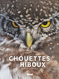 Image de Chouettes et hiboux