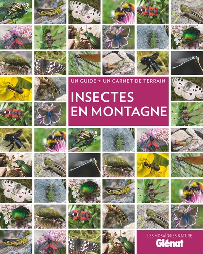 Image de Insectes en Montagne (2e ed)