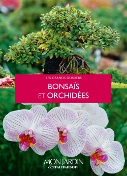 Image de Bonsaïs et orchidées