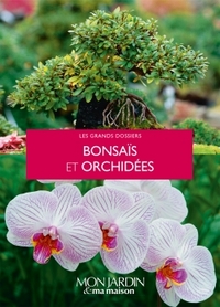 Image de Bonsaïs et orchidées