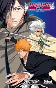 Image de Bleach Anime comics - The Diamond Dust Rebellion