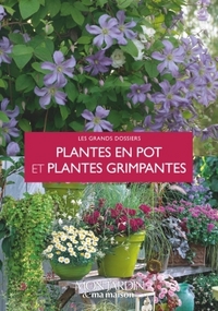 Image de Plantes en pot et plantes grimpantes