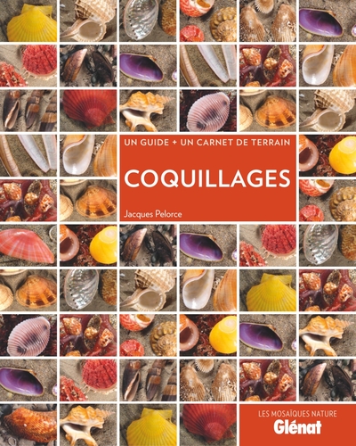 Image de Coquillages