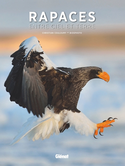 Image de Rapaces, entre ciel et terre