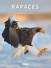 Image de Rapaces, entre ciel et terre