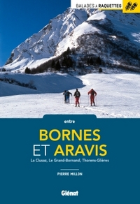 Image de Balades à raquettes entre Bornes et Aravis