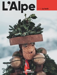 Picture of L'Alpe 95 - La forêt
