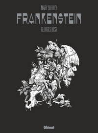 Image de Mary Shelley Frankenstein