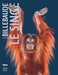 Image de Billebaude n°23