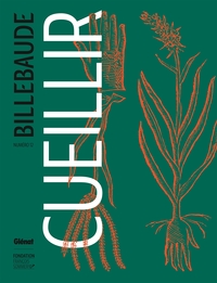 Image de Billebaude - N°12