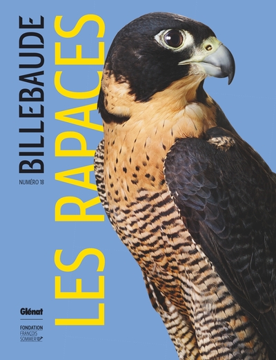 Image de Billebaude - Tome 18