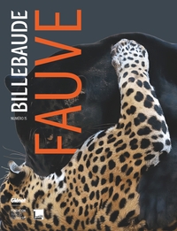Image de Billebaude - Tome 15