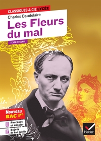 Image de Les Fleurs du mal