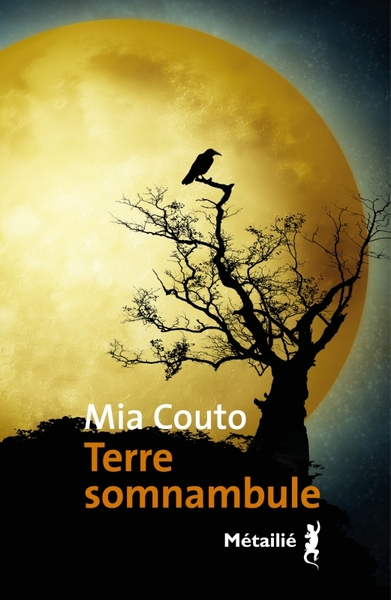 Image de Terre somnambule