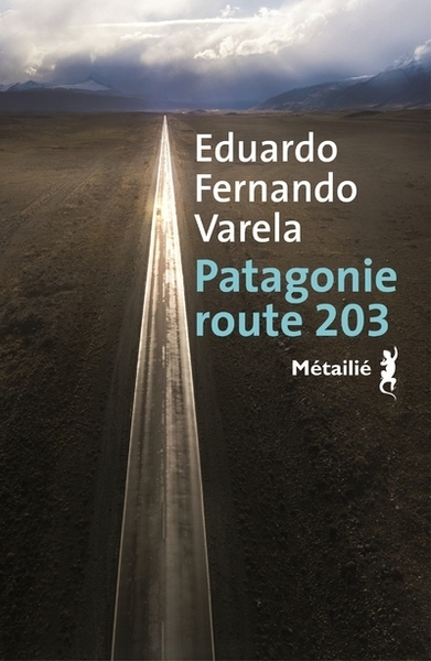 Picture of Patagonie route 203
