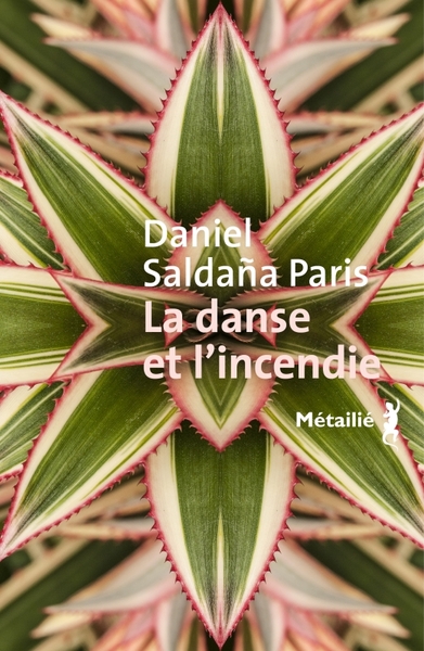 Picture of La danse et l'incendie