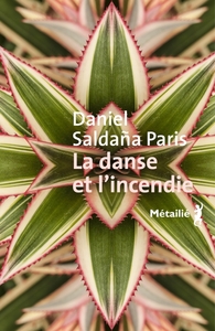 Picture of La danse et l'incendie