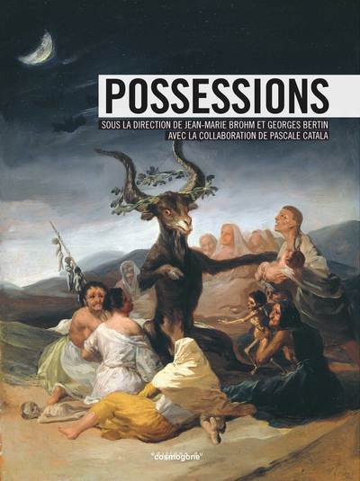 Picture of POSSESSIONS