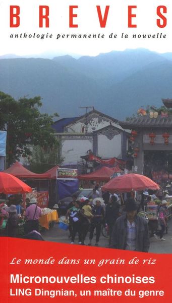 Image de Brèves N°117 - Micronouvelles chinoises - Janvier 2021