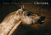 Image de Chevaux (dérivé)