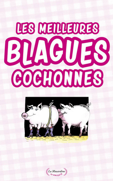 Image de Les meilleures blagues cochonnes