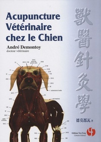 Image de ACUPUNCTURE VETERINAIRE C/ LE CHIEN