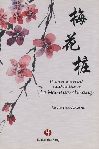 Image de Un art martial authentique, le Mei hua zhuang