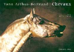 Picture of Chevaux