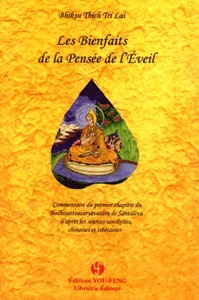 Image de LES BIENFAITS DE LA PENSE DE L'EVEIL