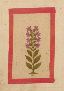 Image de Carnet ligné Fleur 2, miniature Indienne 18e siècle