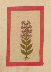 Image de Carnet ligné Fleur 2, miniature Indienne 18e siècle