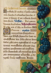 Image de Carnet ligné Heures Anne de Bretagne, Raisin