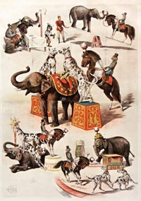 Image de Carnet ligné Animaux dressés, cirque