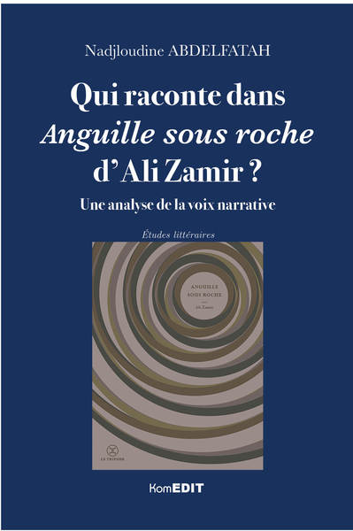Image de Qui raconte dans Anguille sous roche d'Ali Zamir ?
