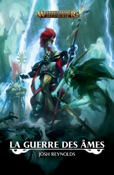 Image de La Guerre des Ames