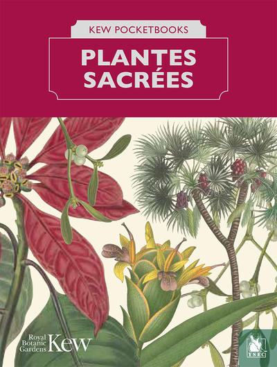 Picture of Les plantes sacrées