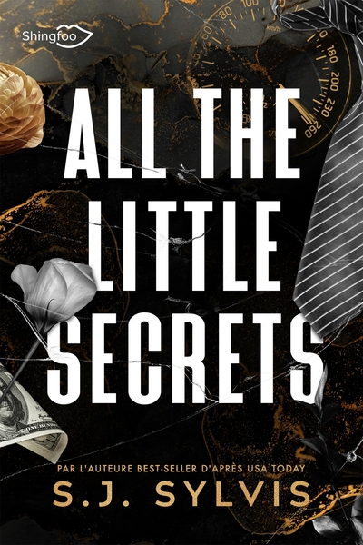 Image de All The Little Secrets