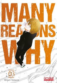 Image de Many Reasons Why - tome 3 (VF)