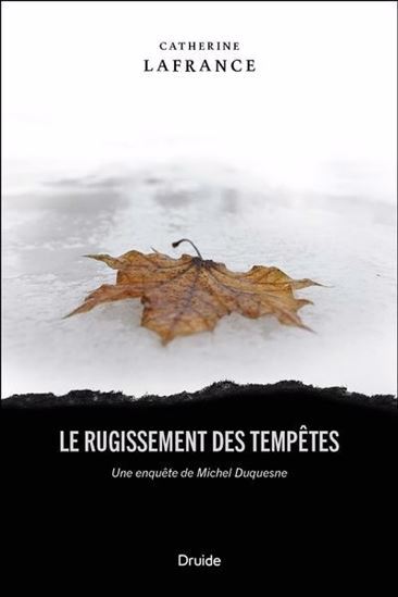 Image de LE RUGISSEMENT DES TEMPETES. UNE ENQUETE DE MICHEL DUQUESNE