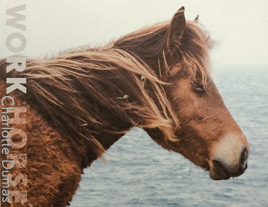 Image de Charlotte Dumas: Work Horse /anglais