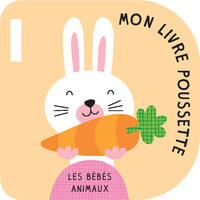 Picture of Mon livre poussette lapin