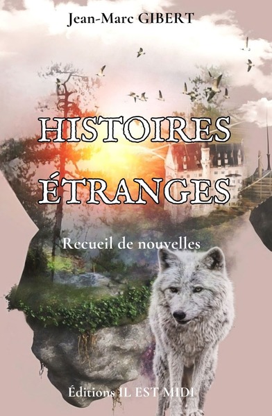 Picture of HISTOIRES ÉTRANGES