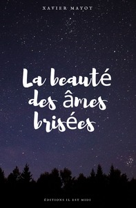 Image de La beauté des âmes brisées