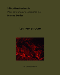 Picture of Les heures ocre