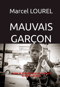 Picture of MAUVAIS GARÇON