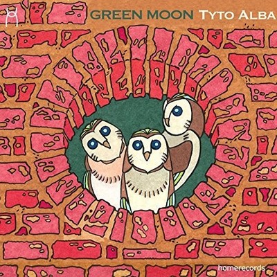 Picture of TYTO ALBA