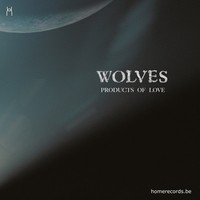 Picture of PRODUCTS OF LOVE