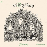 Picture of FLORESTA