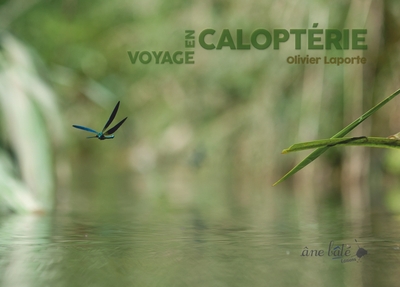 Image de Voyage en Caloptérie