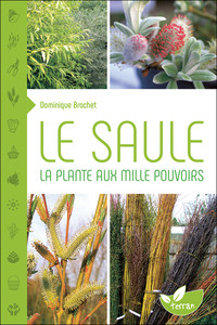 Picture of Le Saule - La plante aux mille pouvoirs
